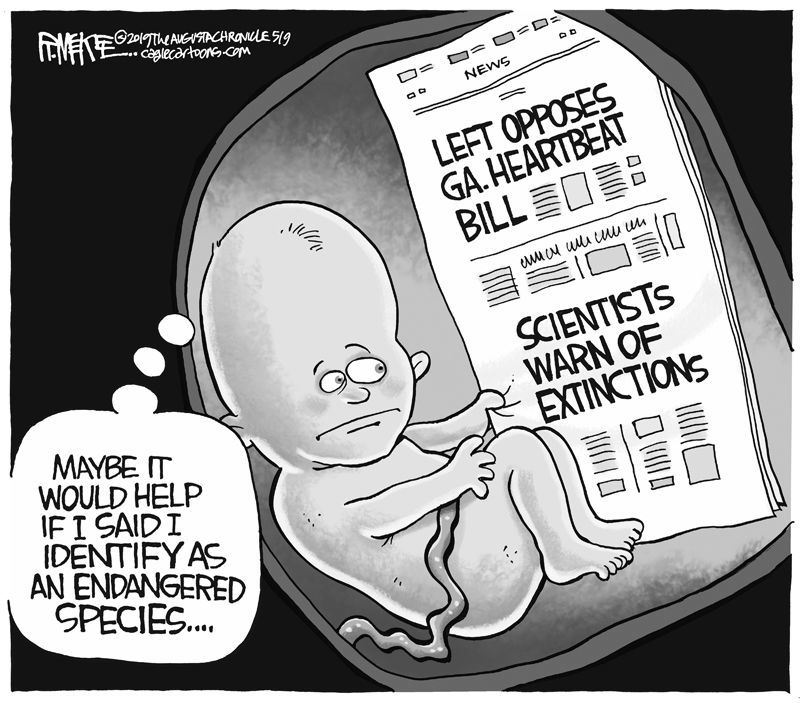 Heartbeat bill